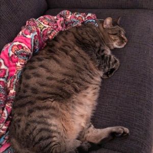 Meet your Posher, Laura